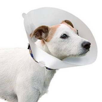 Kruuse - Classic Elizabethan Collar measures 12.5 cm
