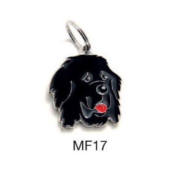 MY FAMILY Medaglietta Friends Terranova - 