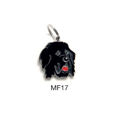 MY FAMILY Medaglietta Friends Terranova - 