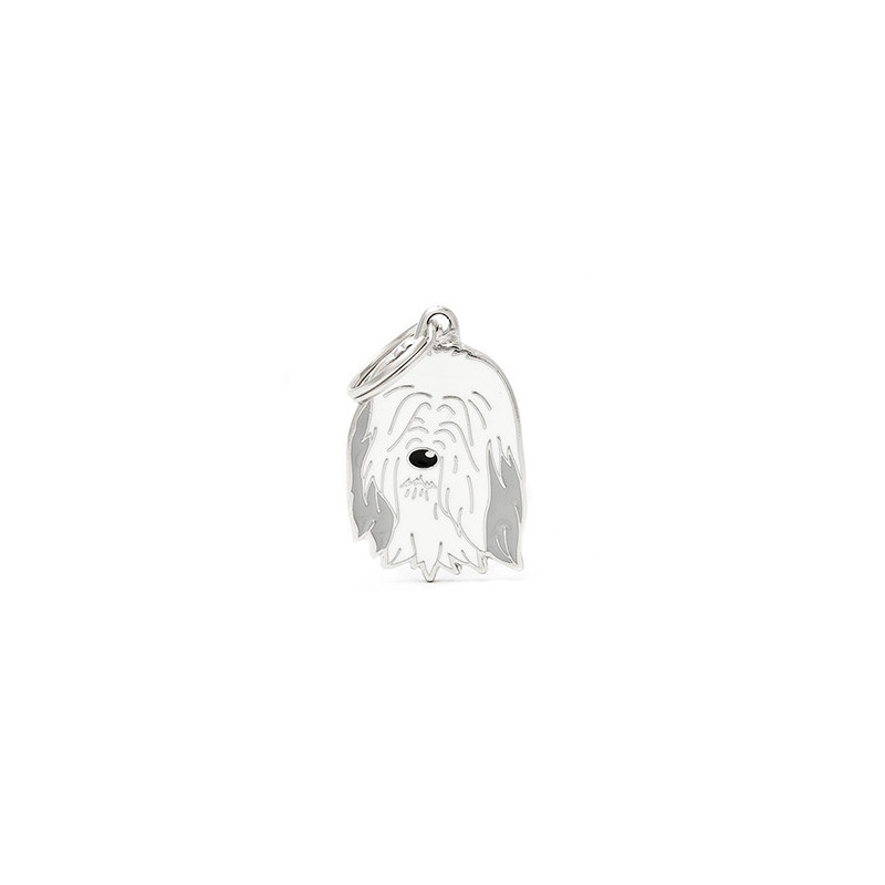 MY FAMILY Medaglietta Friends Bearded Collie MY FAMILY Medaglietta Friends Bearded Collie