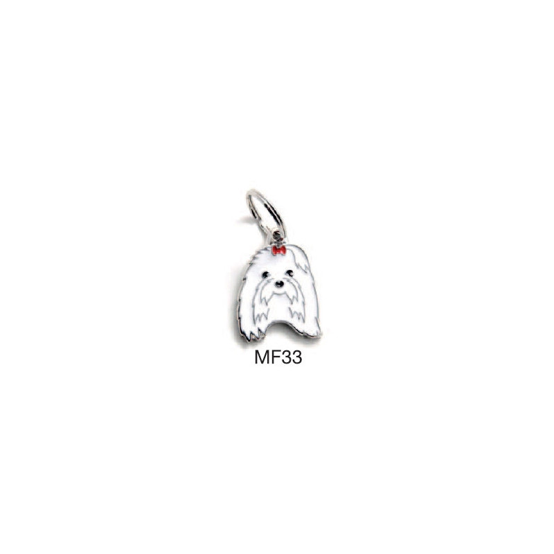 MY FAMILY Medaglietta Friends Maltese