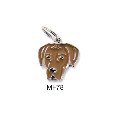MY FAMILY Medaglietta Friends Rhodesian Ridgeback - 