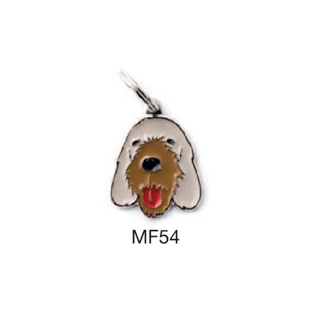 MY FAMILY Medaglietta Friends Spinone - 