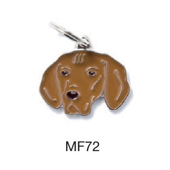 MY FAMILY Friends Vizla Tag