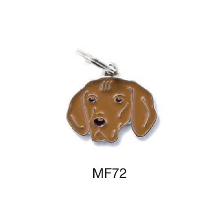 MY FAMILY Medaglietta Friends Vizla - 