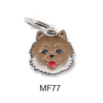 MY FAMILY Friends Volpino di Pomeriana tag