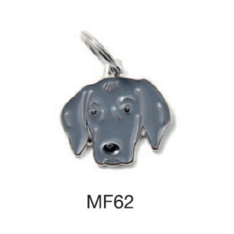 MY FAMILY Freunde Weimaraner Tag