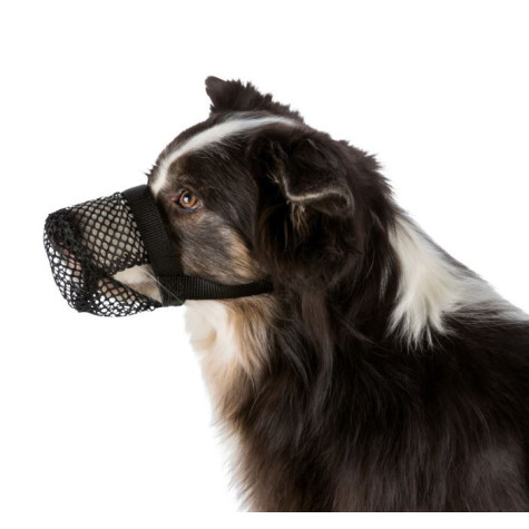 TRIXIE Maulkorb gegen vergiftete Brocken Gr. L