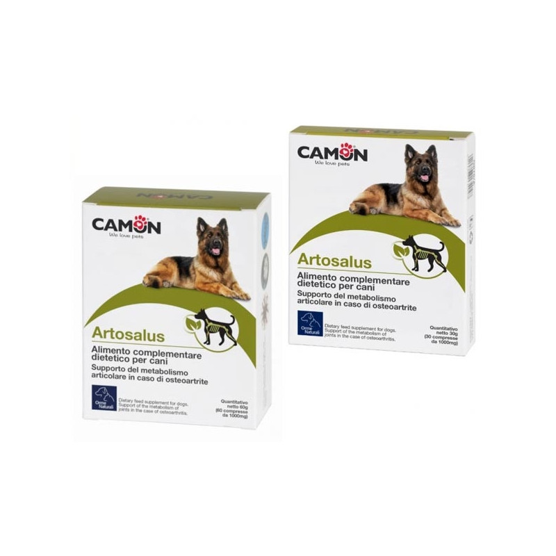 CAMON Artosalus 30 cpr.