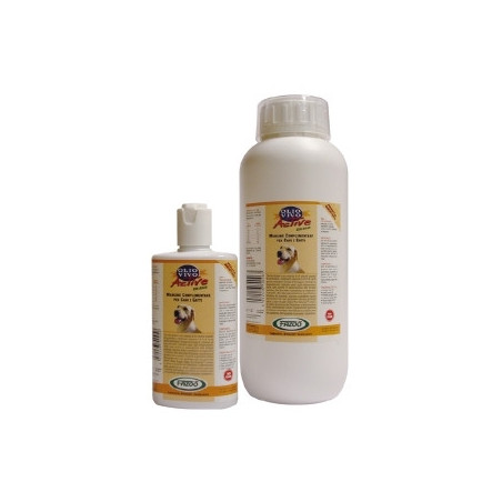 FAZOO Olio Vivo Active 3 lt. - 