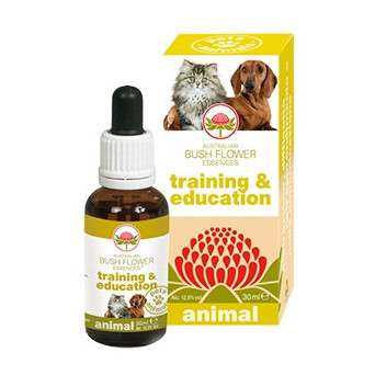 GREEN REMEDIES SPA Training & Bildung 30 ml.