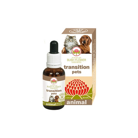 GREEN REMEDIES SPA Transition Pets 30 ml. - 