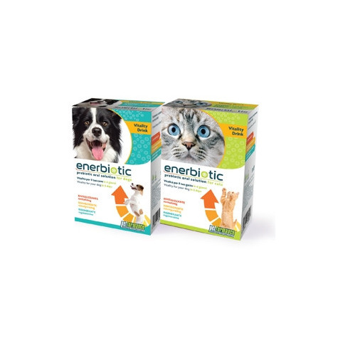 PETFORMANCE Enerbiotic (6 sachets of 60 ml.)