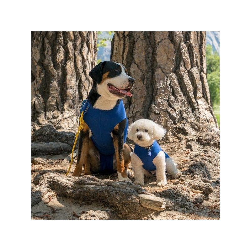 BALTO Recova Shirt Anti-Licking Postoperatives T-Shirt Größe XL BALTO Recova Shirt Anti-Licking Postoperatives T-Shirt Größe XL