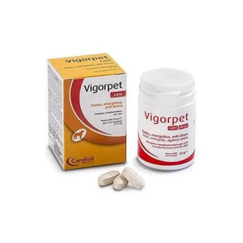 CANDIOLI Vigorpet Dogs 20 tablets