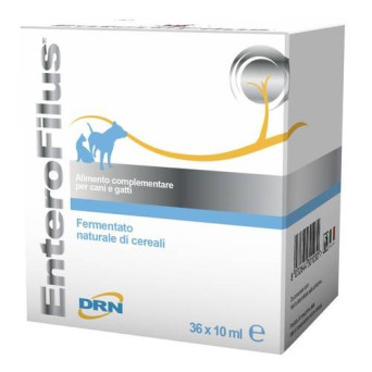 DRN Enterofilus-Durchstechflaschen 36 Durchstechflaschen mit 10 ml.
