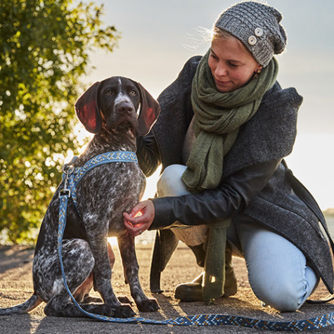 HURTTA Razzle Duzzle STD Leine Himbeere 180cm.X25mm.