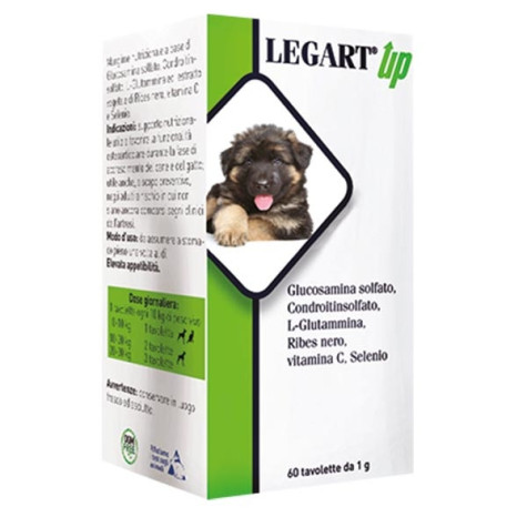 Aurora biofarma legart up 30 tablets 1 gr -