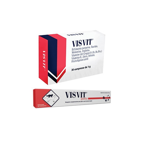 AURORA BIOFARMA Visvit Nudeln - Spritze 15 gr - 