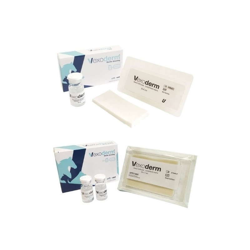 Bfactory - Vexoderm 10x7 cm.