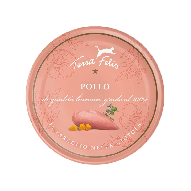 Terra felis Adult Pollo 80 gr.