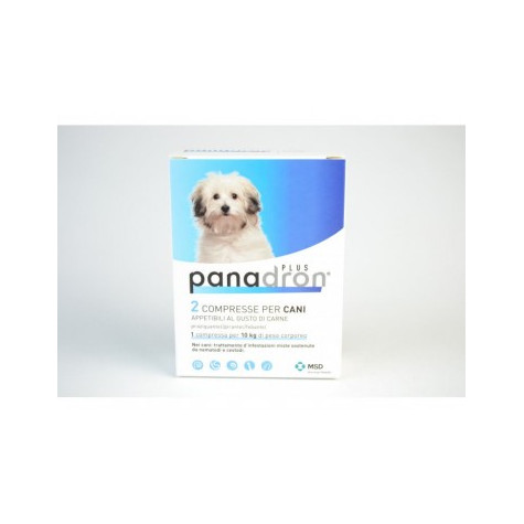 Panadron Plus 2 Cane Compress - 