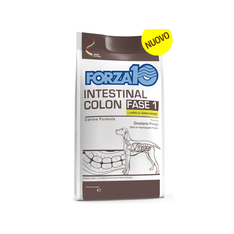 Forza10 - Active Intestinal Colon Fase 1 Agnello  Sorgo 10 KG