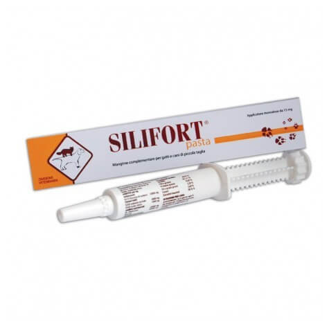 Aurora Biofarma Silifort Pasta 15 gr. - 