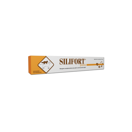 Aurora Biofarma Silifort Pasta 30 gr. - 