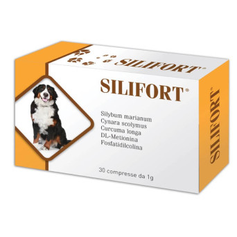 Aurora biofarma silifort 30 Tabletten 1 gr