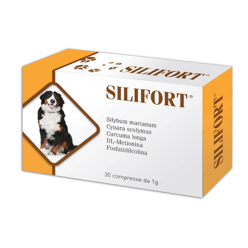 Aurora biofarma silifort 30 compresse 1 gr