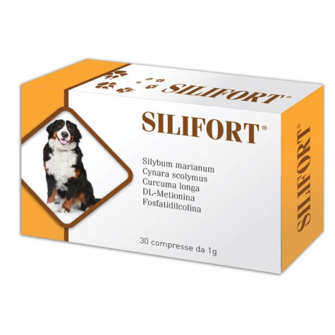 Aurora biofarma silifort 30 tablets 1 gr