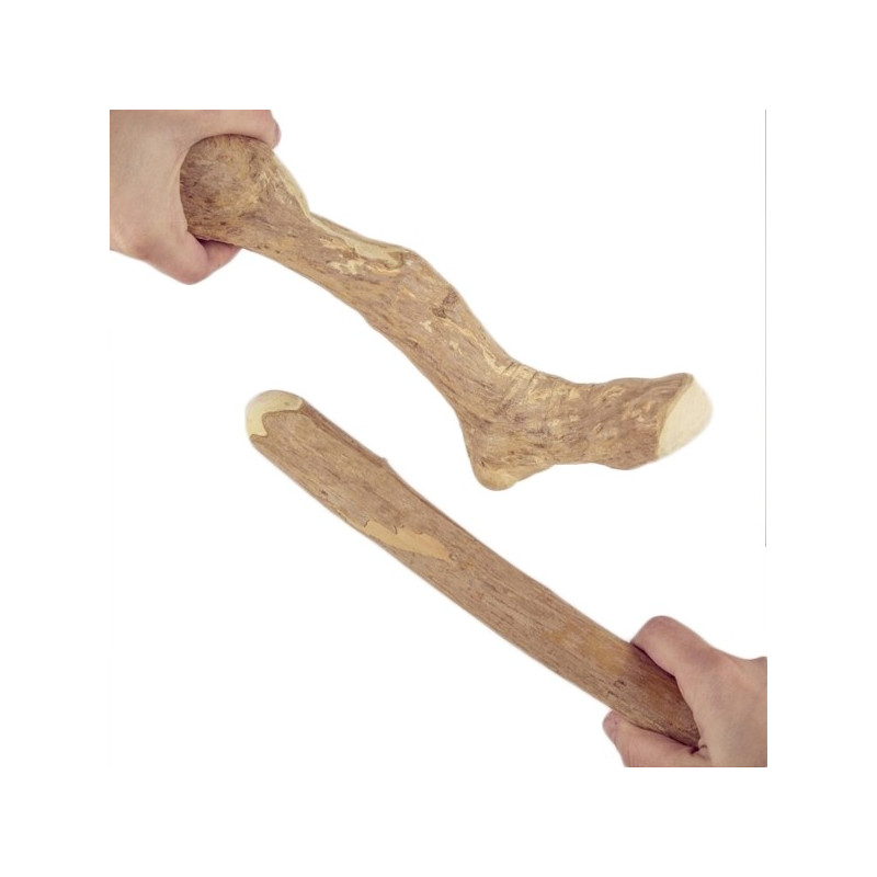 CANOPHERA GMBH - Cane Legno da Masticare Albero del Caffè  Large