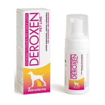 TEKNOFARMA Deroxen Sprühschaum 100 ml