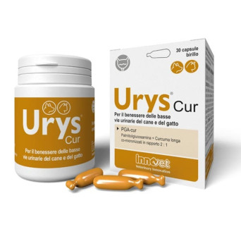 Innovet Urys Cur Pack 30 Capsules