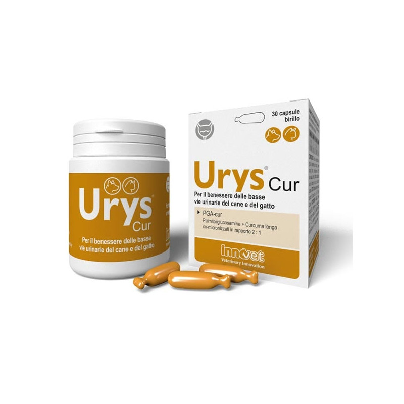 Innovet Urys Cur Pack 30 Capsules