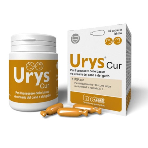 Innovet Urys Cur Pack 30 Capsules