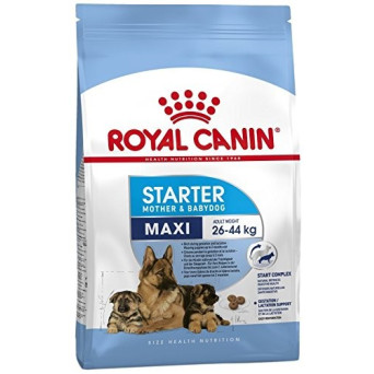 ROYAL CANIN Maxi Starter Mutter & Babyhund 4 kg