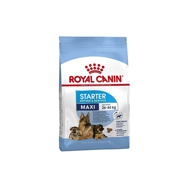 ROYAL CANIN Maxi Starter Mother & Babydog 4 kg