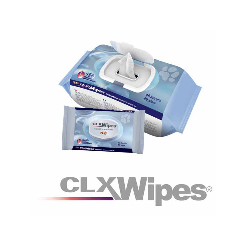 ICF Feuchttücher CLX Wipes Pocket 20 Stk.