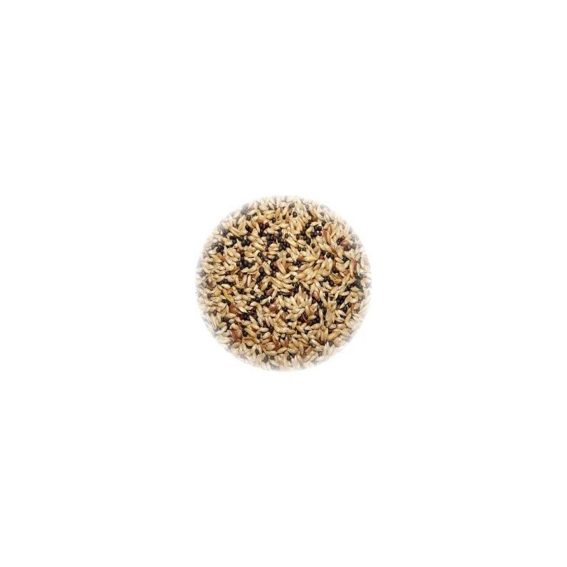 ALI' SEEDS Ali Mangime per Canarini Hobbyitalia 1 kg.