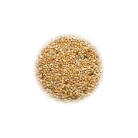 ALI' SEEDS Ali Mangime per Cocorite Universitalia Hobbyitalia 1 kg. - 