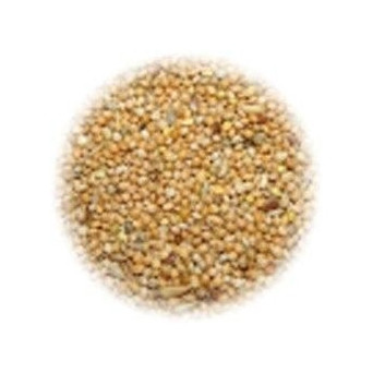 ALI' SEEDS Ali Food for Cocorite Universitalia Hobbyitalia 5 kg.
