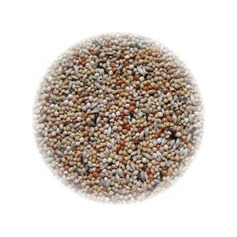 ALI' SEEDS Ali Extra Exotisches Futter 5 kg.