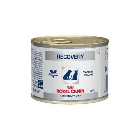 royal canin recovery 195gr - 