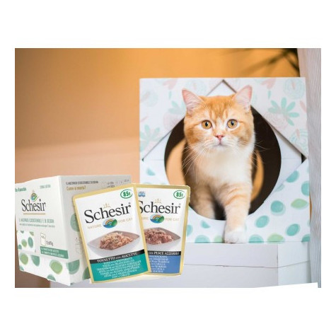 Schesir Gatto Multipack Ecosostenibile con Cuccie (gusto Tonneto e ananas  e Tonneto e mela) 1 set/2 cuccie + 12 bustine 85 g