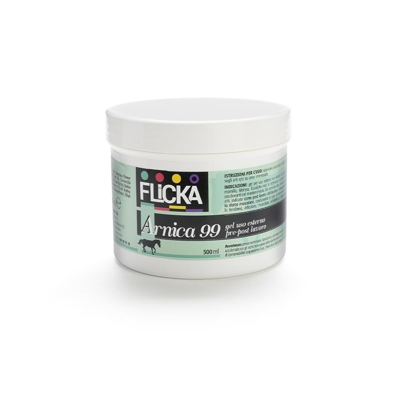 BIOEQUIPE Arnica 99 Gel Cosmetico Fitoderivato 500 ml.