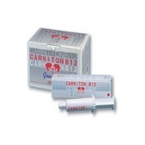 ACME Carniton B12 Equine - increases resistance to fatigue and muscle trophism 20 Bags 25.00 gr