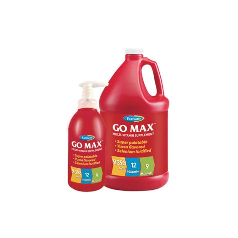 CHIFA Go Max 3.78 lt. - 