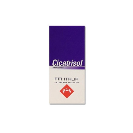 FM ITALIA Cicatrisol 60 ml. - 